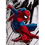 DIARIO SCUOLA 10MESI SPIDERMAN