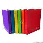 RACCOGLITORE 4 ANELLI A4 VERNICE FRESCA 27X32  D.30 ASSORTITI