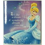 RACCOGLITORI 4 ANELLI CINDERELLA