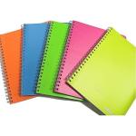 QUADERNO SPIRALATO A4 5MM