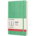 AGENDA 12M GIORNALIERA C/COP. MORBIDA 13X21  MOLESKINE VERDE GHIACCIO